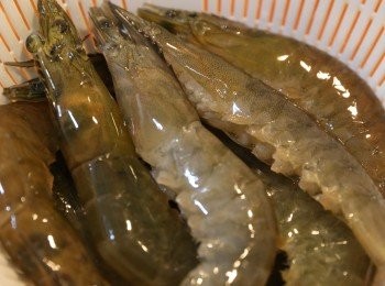 step2: 蝦用清水沖洗並剪去蝦鬚蝦腳