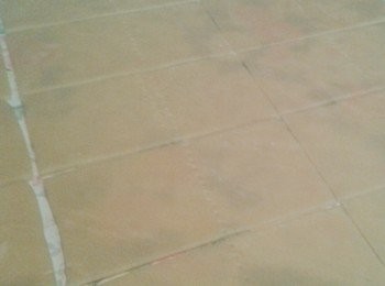 step4: 拿出麵糰，擀成約1/8吋的薄片，切成長約12厘米，闊6厘米的長形