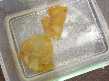 step4: 再浸回水，放雪柜，每天換水。