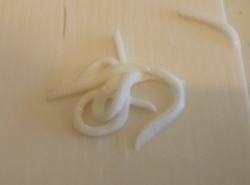 step2: 蒟蒻用白開水攪溶後加糖加椰奶,
將蒟蒻水煮微滾熄火,
放入方形盆薄薄一片雪入雪柜,
凝結後切條狀備用。