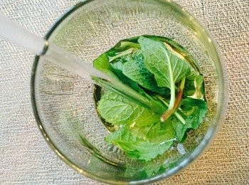 step1: 接骨木花糖漿和薄荷葉放杯內，攪勻並用叉輕輕戳數下令薄荷葉更出味。