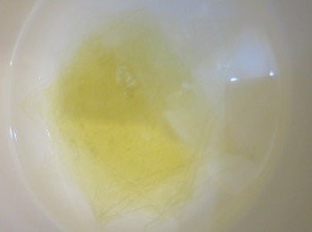 step16: － 魚膠片放入冷水浸軟，拿出來加半大匙水，隔水煮至半溶，離火再拌至全溶