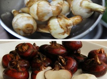 step2: 上為慈菇的面貌，下圖則是荸薺 慈菇跟荸薺一樣久煮不爛，但口感如烹調過的馬鈴薯般鬆軟，荸薺則是翠甜口感!