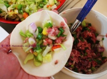step2: 自家製餃子: 看以下連結附包餃子步驟
http://harumakiinthekitchen.blogspot.hk/2014/06/blog-post_19.html