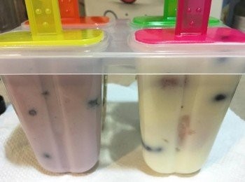 step3: 把乳酪倒入雪條模具內一半位置，跟住加入切好既生果，再倒滿整個模，放入冰箱冷藏4小時以上便可