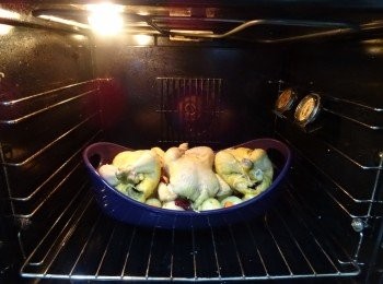 step7: 10分鐘後將雞反轉，繼續焗20分鐘至熟透，出爐後靜止5-10分鐘吸回肉汁後才切開食用。
(小春雞背加胸兩面共焗30分鐘便足夠。 )