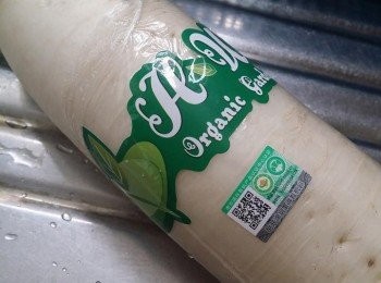 step1: 先準備有機蘿白一條,洗淨去皮