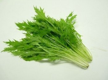 step1: 水菜近年來由日本普及到台灣，夏天涼拌、冬天火鍋，
是水菜最常使用的料理法，想要吃原味，就決定將水菜拿來涼拌。