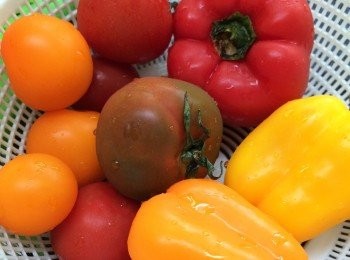 step1: 先將蓄茄, 彩椒洗乾淨, 備用