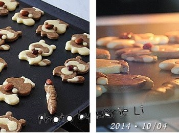 step10: 做好的《松鼠》和《浣熊》擺放在烤盤上
用蛋液將《杏仁果》和《蔓越莓乾》黏在小動物的兩手中間
送進已事先預熱好的烤箱中烘烤即可

烤箱設定：

上火：         120度
下火：         120度
烤盤放置：      上層
烘焙時間：    20分鐘


※ 每台烤箱的狀況皆不相同，請依自家烤箱的狀況做調整設定。