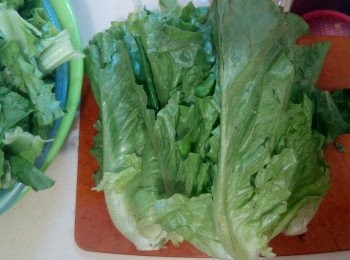 step4: 當水再次滾起後可加入唐生菜及鹽調味。