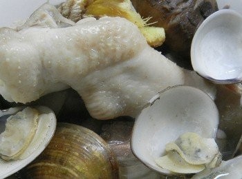 step4: 起鍋後再加鹽調味即可