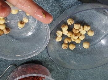 step1: 蓮子浸水4小時以上,待浸軟身後檢查蓮子是否有綠色苦蕊,將苦蕊去掉