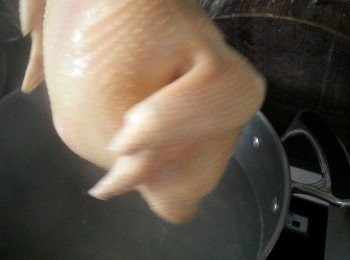 step2: 將雞提起待肚裡的水流回煲內,重複此動作3次,蓋上蓋煮8-10分鐘(雞大隻就煮10分鐘,細隻煮8分鐘)熄火後不要打開蓋焗浸1小時(用筷子插入雞脾位,如沒有血水流出代表雞已熟)