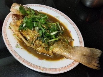 step7: 做法 :

將盲鰽清洗後，用 1 湯匙鹽預早一晚醃好。

燜煮前將盲鰽沖洗，去除多餘鹽份，再用廚紙吸乾水份，燒起油鑊，將盲鰽上少少生粉，煎封兩邊至金黃色。
煎封後轉中細火放入蒜頭，乾蔥，薑絲，麻油稍為爆香，再將稀釋了的蠔油倒入，加入糖，辣椒碎，胡椒粉少少老抽，蓋好燜煮 2 分鐘，上碟後放上蔥花，完成。

這用鹽醃一晚的做法，是另魚肉質感改變，感覺會有點似食蟹肉。😄😄