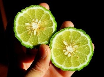 step9: 湯汁不多.用的是皮