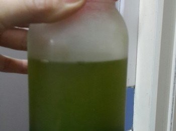 step2: 擺入雪櫃一晚的斑斕水，會有沉澱，倒去上層清水，取90克斑斕精華