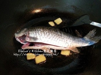 step3: 燒紅鑊爆香薑片 , 放入鯽魚用中火煎至兩面金黃色