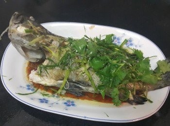 step5: 將龍躉清洗後隔乾水份 , 放薑絲在魚身上 , 水滾後計算蒸 6 分鐘 , 倒去魚水放上蔥花 , 芫茜用蒜頭 , 乾蔥爆香滾油淋上 , 少少豉油 , 完成 .