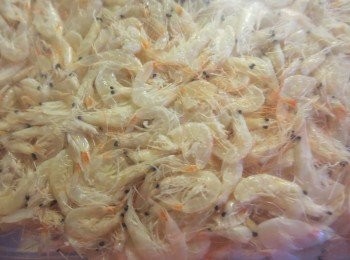 step2: 宿疾者、正值上火之时不宜食虾；患过敏性鼻炎、支气管炎、反复发作性过敏性皮炎的老年人不宜吃虾；虾为动风发物，患有皮肤疥癣者忌食。不能和虾皮一起吃的东西：
1．菠菜+虾皮。虾皮中含有的丰富的钙会与菠菜中的草酸形成草酸钙，影响人体对钙的吸收。
2．红枣+虾皮。会中毒。