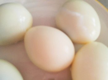 step1: 將蛋放入鍋中與水一起煮沸，轉中小火約8分鐘熄火蓋住鍋蓋約15分即可成為好吃的水煮蛋