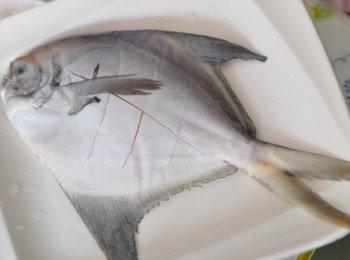 step2: 一夜干為真空包裝存放冷凍庫，商品已經醃漬處理，不需再調味，解凍後請勿沖水，如果再遇水，會將魚的水分再釋出，而影響到風味!!