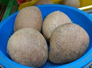 step1: 先叫檔主把印度椰仔代切片