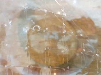 step2: 將吉利丁片放入冰水中泡軟