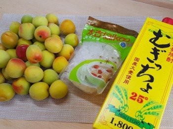 step1: 先將梅子浸洗1小時，盛起，抹乾，風乾備用。