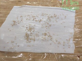 step3: 將腸粉放在砧板上小心推開，然後放入芝麻、紫菜卷，由下而上卷上。