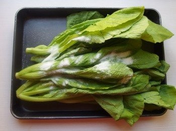 step2: 可先將小芥菜清洗過瀝乾,放在室溫或陽光下稍微讓葉子脫水乾燥。將海鹽撒在小芥菜上,稍微用雙手搓揉一下,靜置1小時......