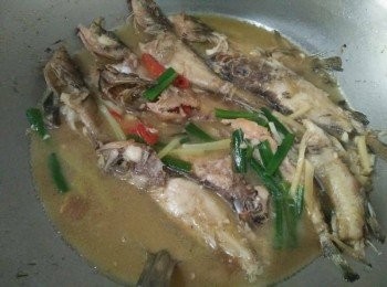 step3: 放入玳瑁石斑【澎湖野生水產】，蓋鍋蓋，煎約5分鐘後，轉中小火續煎，煎至呈金黃色，