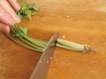 step2: 將香菜切開→將香菜切分成根與莖的部分。