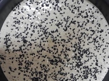 step3: 將拌好的蛋糕液倒入8吋的蛋糕模中,表面灑上黑芝麻粒~ 上下火180度烤40分左右,完成