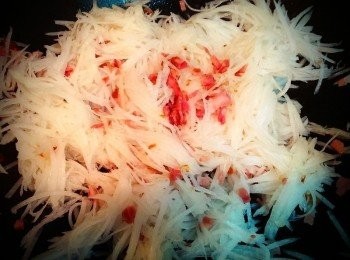 step3: 再加入白蘿蔔拌炒