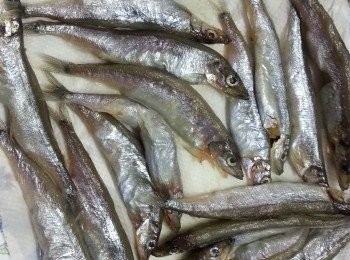 step2: 洗淨<a href="https://cook1cook.com/shop/item/741?utm_source=cook1cook&utm_medium=recipeingredients&utm_campaign=o" target="_blank" data-keyword="多春魚" class="guide-link"><strong>多春魚</strong></a> <span style="display:inline-block;vertical-align:middle;margin-top:-3px;color:initial;border-radius:3px;padding:2px 3px;font-size:12px;line-height:14px;background:#87d300;color:#fff;">即買</span> 用廚房紙吸乾水份