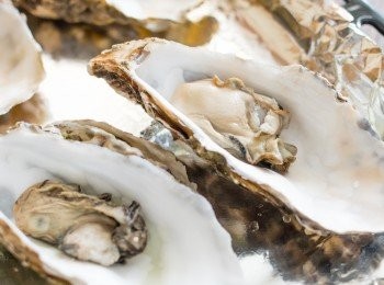 step7: 分別印乾蠔肉和蠔殼的水份，把蠔肉放回蠔殼中，再放在己鋪上錫紙的烤盤上。