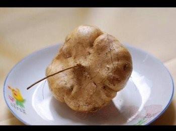 step6: 用這款沙葛(相片取於網上朋友提供)