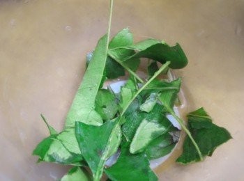 step5: － 九層塔、檸檬葉洗淨後用手捽出味道後再撕成碎片