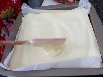 step11: 將牛油紙鋪在26*26cm<span class="group_4">烤盤</span>上，由高处倒入蛋糕糊，用刮刀鋪皮，再噔幾下