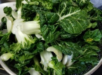 step1: 白菜