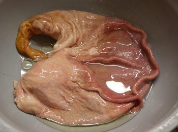 step2: 開始清洗肚豬，很簡單的。先將豬肚表面多餘的脂肪剪去，然後再清洗肚內黏附的潺和穢物。將豬肚反出來，用刀刮去表面的雜質，然後加點生油用手反覆搓揉十多次，用清水洗淨。