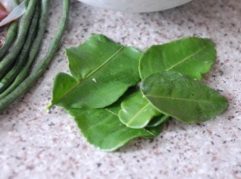 step6: 這是泰國檸檬葉Kaffir Lime Leaves，可在東南亞，泰國食品店或大型超市買到