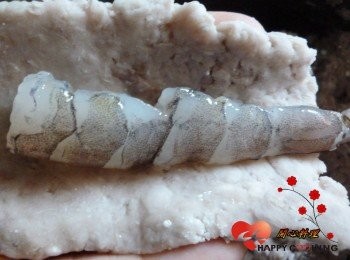 step4: 包入蝦,捏緊