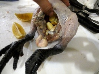 step3: 再將切半的檸檬和蒜頭塞入雞肚子裡。