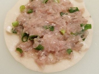step2: 在餃子皮中間加入魚肉，在餃子皮邊搽上水，再加上另一塊餃子皮按實餃子皮邊，其餘做法同上，直至做完所有餃子皮