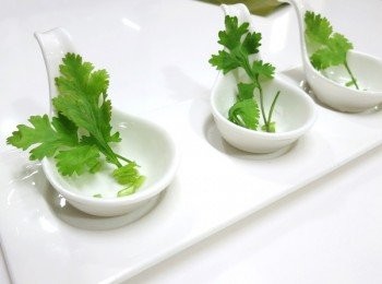 step5: 湯匙或瓷器上面放上香菜