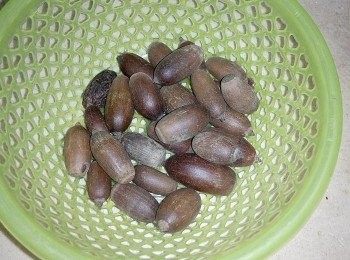 step1: 買豬仔笠時，先叫藥材店店員把豬仔笠盅碎。