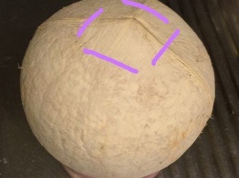 step1: 先劈開椰皇取出椰皇水備用；