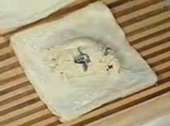 step4: 冰淇淋大約一勺，不要貪心挖太多